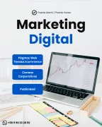 Diseño de Páginas Web y Posicionamiento en Google Puerto Montt