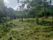 Lindo terreno