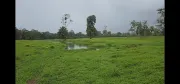 🌿 Finca de 42 hectáreas en Pococí – Naturaleza y potencial turístico en un solo lugar
