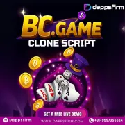 Experience Seamless Gaming with Our Whitelabel BC.Game Clone Software
