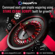 Enter the High-Growth Gambling Space with a Premier Stake Clone Script