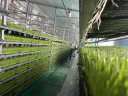 HydroFodder - Hydroponic fodder growing system
