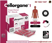 Cellorgane 1 – preentación oral. spa méxico, descuentos en méxico
