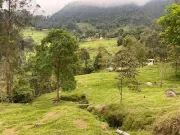 Se vende hermosa finca vía principal Bogotá- la mesa
