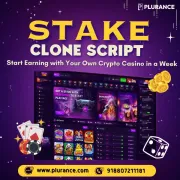 Premium Stake-Like Casino Script | Live Games + Crypto Wallet Integration