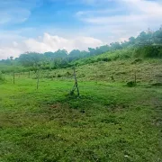 “Últimos Lotes en Privada Limones”