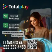 Internet Total Play Puebla