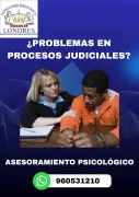 🔹 ASESORAMIENTO PSICOLÓGICO PARA PROCESOS JUDICIALES