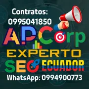 Experto Seo Ecuador Posicionamiento Web
