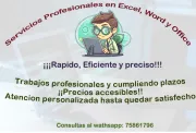 Servicios Profesionales en Excel, Word y Office rápido y eficiente