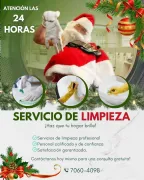 Personal capacitado en el area de Doméstica