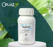 HYBRID (producto para el campo)