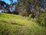 Venta de Terreno en Yumbel – Oportunidad Única