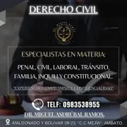 Dr. Miguel Asdrúbal Ramos - Especialista en Derecho Civil