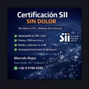 Certificación Set Básico y Boletas Electrónicas del SII