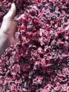 Flor de hibisco seca de primera calidad