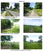 Vendo globo de terreno de 2.9 Hectáreas en Panana Oeste Las Lajas - Chame