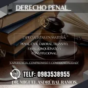 ⚖️ DR. MIGUEL RAMOS - DEFENSA PENAL Y LIBERTAD ⚖️