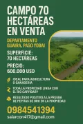VENDO CAMPO 70 HECTAREAS, PASO YOBAI, DEPARTAMENTO DEL GUAIRA