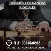 ⚖️ DR. MIGUEL RAMOS - TRÁMITES ⚖️