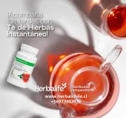 ¡Recupera tu energía diaria! Si el cansancio te gana, es hora de