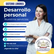SISTEMA LONDRES: NUESTROS SERVICIOS