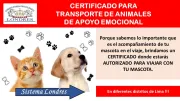 CERTIFICADO PARA TRANSPORTE DE ANIMALES DE APOYO EMOCIONAL
