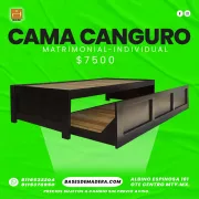 ¡Cama Canguro Matrimonial-Individual en Monterrey!