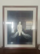 Cuadro Decorativo Enmarcado – Figura Femenina Elegante”