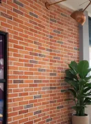 Fachaletas para pared - 3108060810