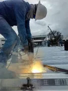 PERNEADORA NELSON EN RENTA