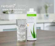 No sueñes con el cuerpo que quieres, trabaja por él con el apoyo de expertos