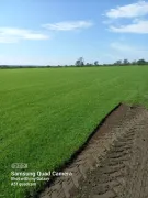 farm fresh instant lawn