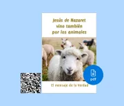 PDF Jesús de Nazaret vino también por los animales