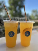 Exquisitos tropical gin