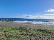 Se venden sitios orilla Playa, Cardonal, Curanipe