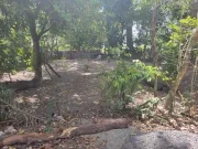 Se vende terreno en lotificacion santa lucia