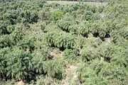 6 ha con casa y restaurante equipado — Guairá