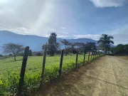 Venta de parcelación