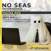 Páginas Web representative information | con hosting y Dominio | soporte clientes felices