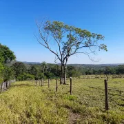 Propiedad con arroyo, manantial, bosque nativo - General Caballero