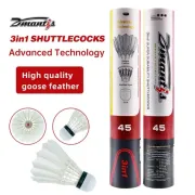 “Affordable feather shuttlecock Philippines”