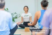 Mejora tu calidad de vida con hábitos simples y nutrición constante. Empieza hoy