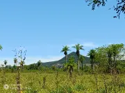 20 ha Propiedad con naturaleza en Potrero Garay – La Colmena