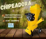 Disponible para Venta Chipeadora