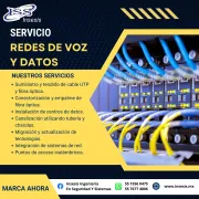 Red, Voz y datos