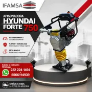 APISONADORA HYUNDAI FORTE 750